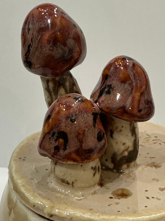 Speckled Spore Sanctuary